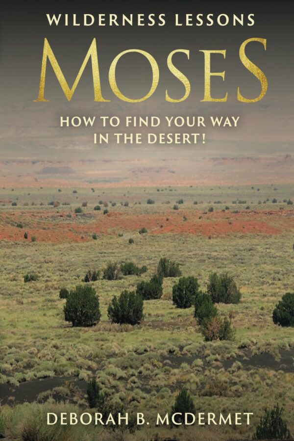 Moses: Wilderness Lessons (How to Find Your Way in the Desert!)