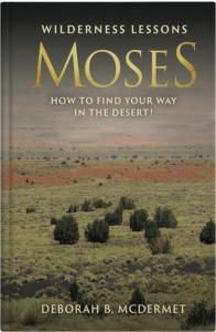 Moses - Wilderness Lessons, How to Find Your Way in the Desert_FC 1 - crop